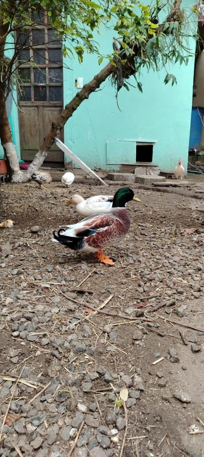 Recanto Dumar Peruíbe المظهر الخارجي الصورة